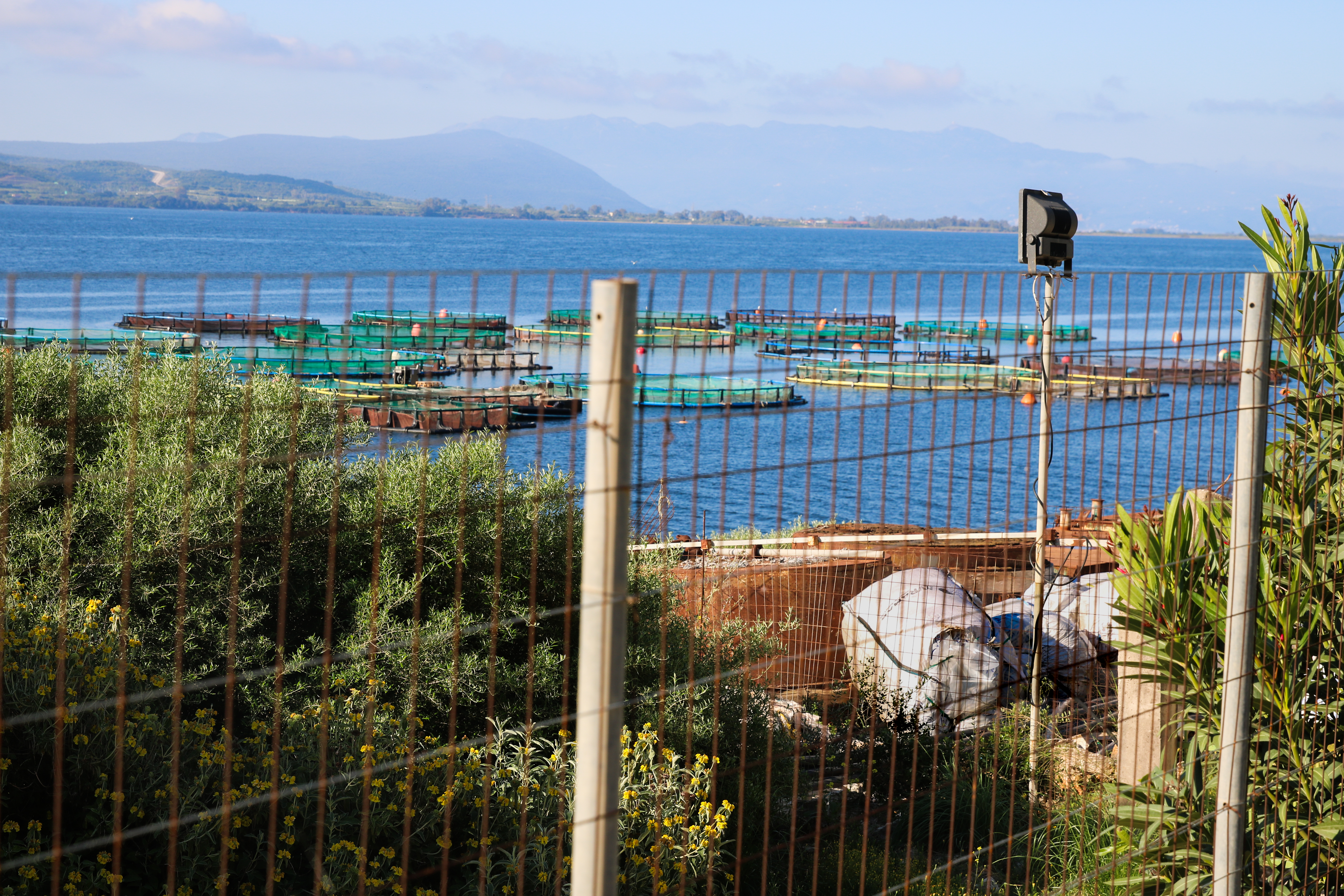 An Avramar feed bag outside an aquaculture facility in the Ambracian Gulf, Greece. The fishmeal and fish oil industry have been criticized in Greece and elsewhere for “food colonialism.”