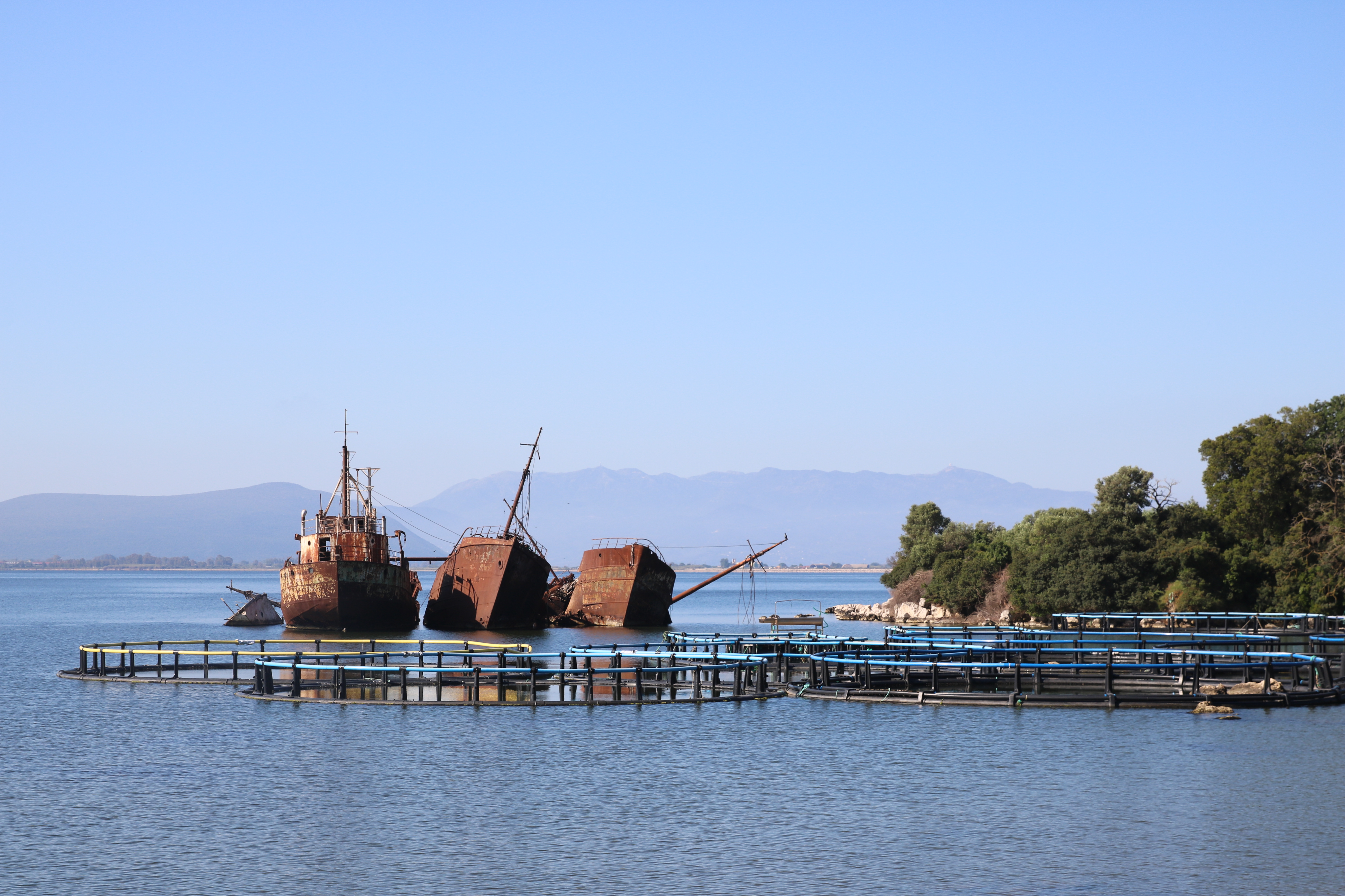 Derelict ships and fish farms near Preveza, Greece. Abandoned farms leach microplastics and release Styrofoam pellets, while their nets trap living creatures like crabs.