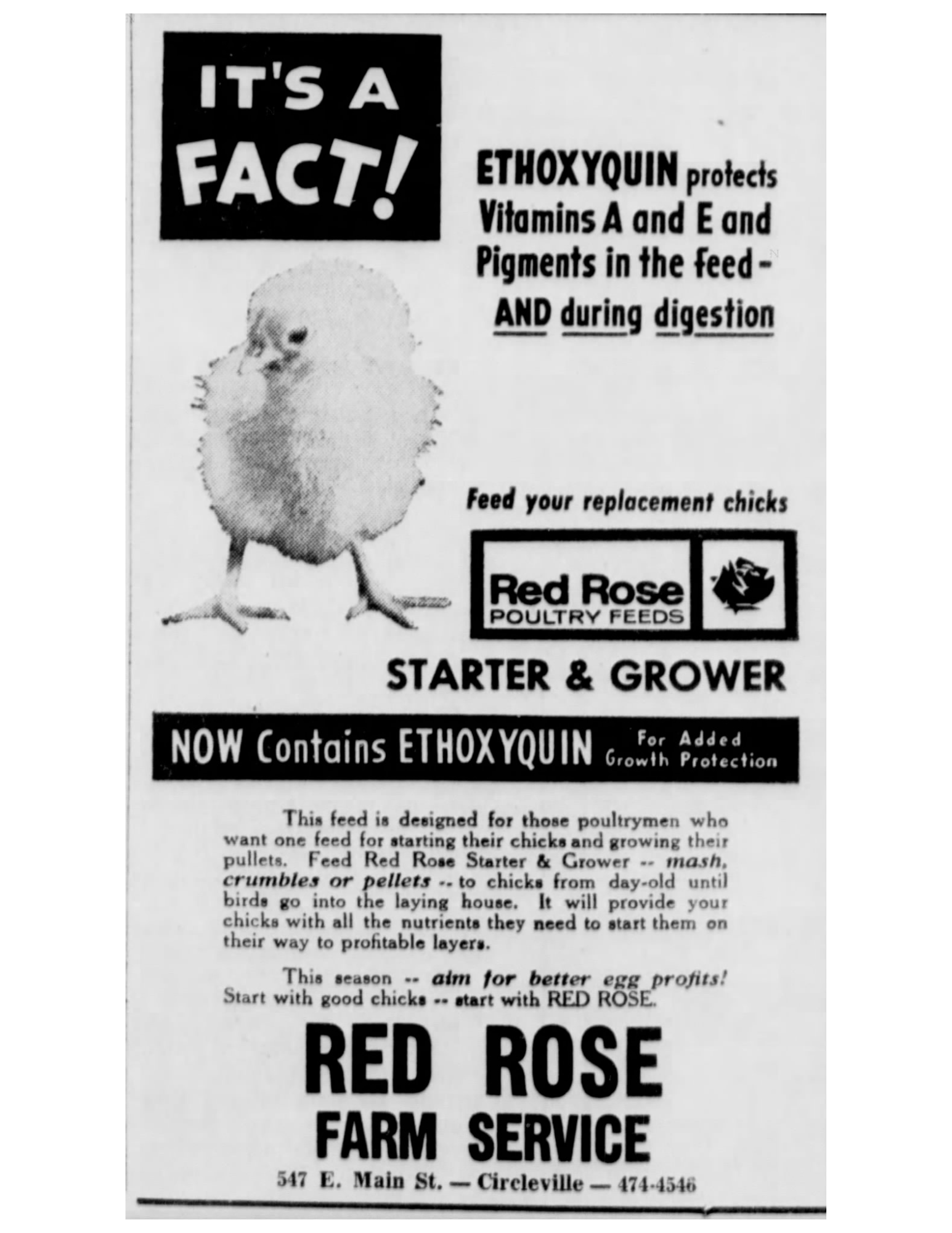 Red Rose Poultry Feeds advertised ethoxyquin-treated fishmeal in a 1969 issue of the Circleville Herald, claiming it was a superior feed choice. Subsequent research and international reviews have raised serious concerns over ethoxyquin’s potential toxicity and health risks, ultimately leading to its suspension in 2017 in animal feeds across the European Union.