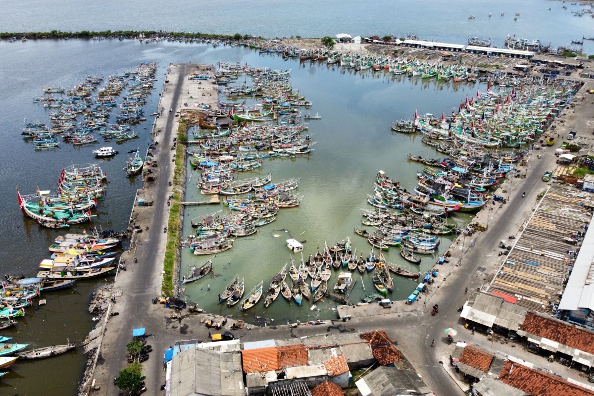 Fishing vessels docked at Muncar Port pier, Banyuwangi, East Java, in November 2021. The overwhelming majority of Indonesian fishing ships target species that the government says are overfished. The desire to shift toward aquaculture promises to worsen the situation if the farmed fish rely on fishmeal.
