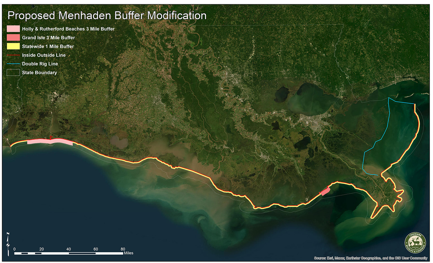 In 2023, the Louisiana Wildlife and Fisheries Commission proposed a commercial menhaden harvest buffer zone that the government implemented the following year.