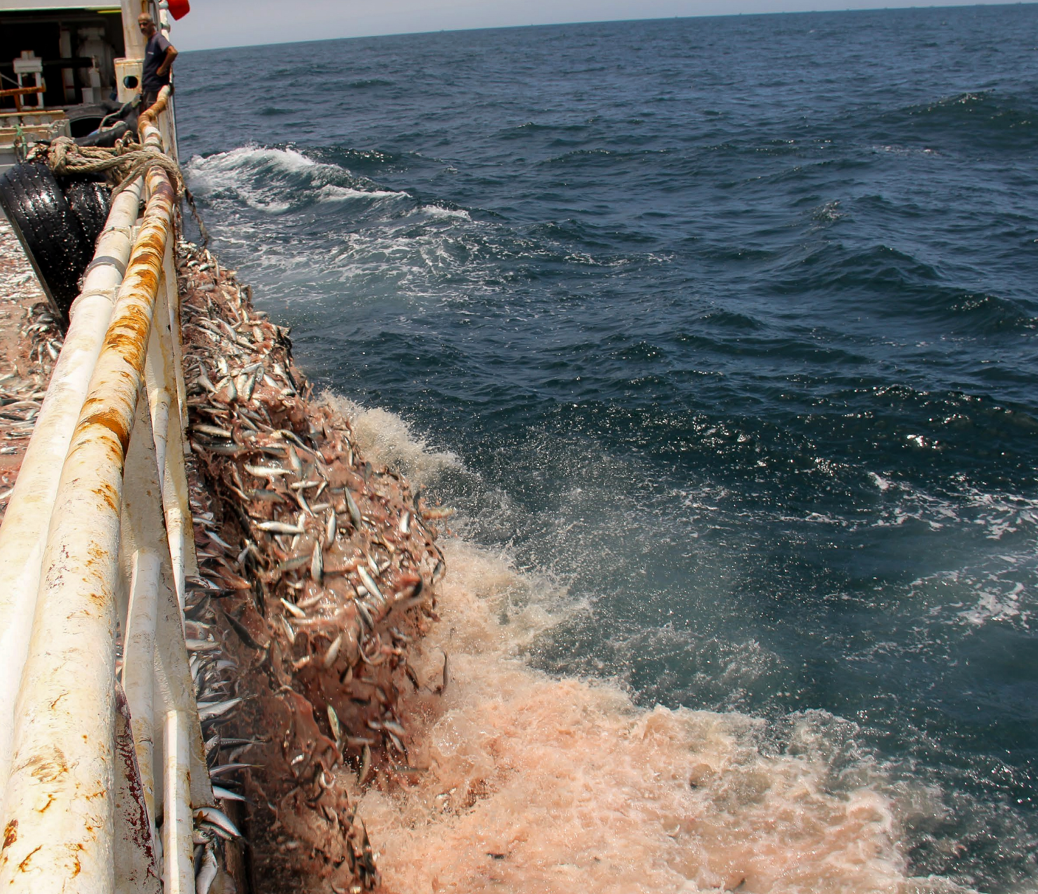 The Moroccan fishing vessel Adrar discarded fish offshore Western Sahara. The territory’s coastal waters are among the world’s most productive fishing grounds, though overfishing has strained local stocks and raised food-security concerns.