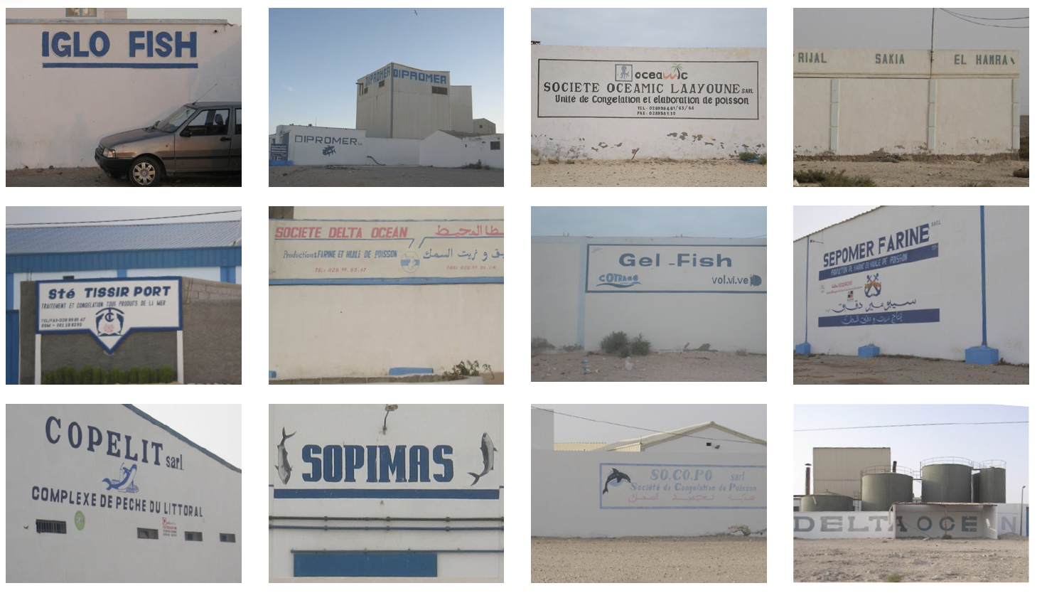 The EU approved at least a dozen fishmeal plants in Western Sahara to export to Europe, according to a December 2020 report. Although the European Court of Justice ruled that Western Sahara was separate from Morocco in EU trade agreements, fish from the territory continued to enter European markets.