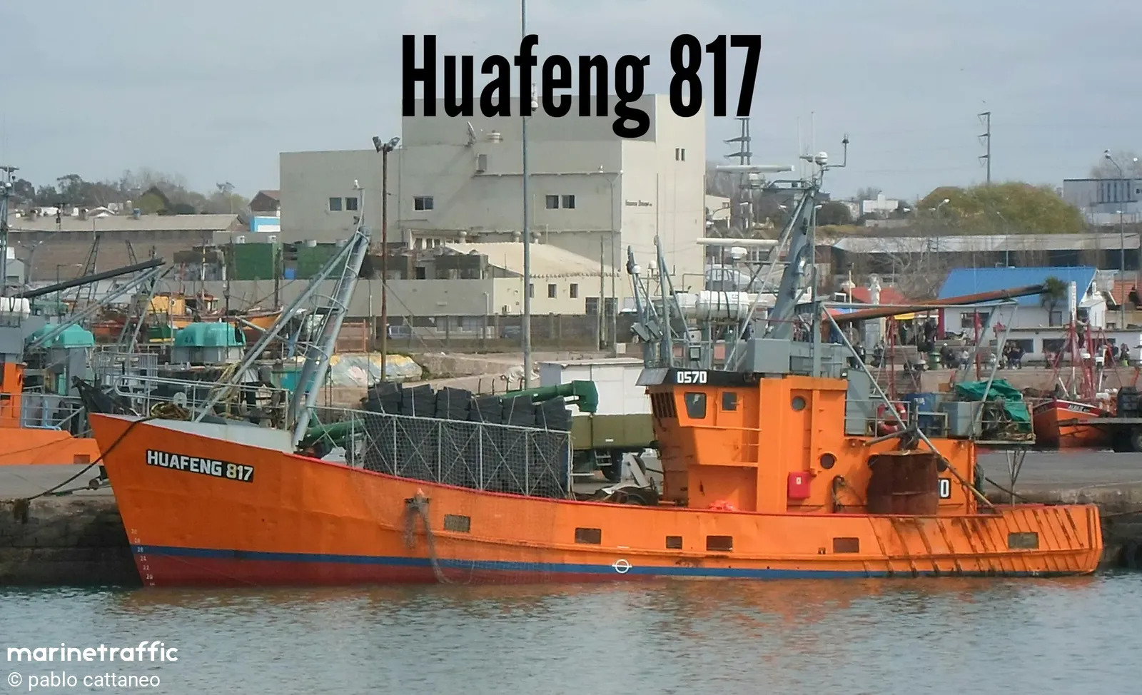 Huafeng 817